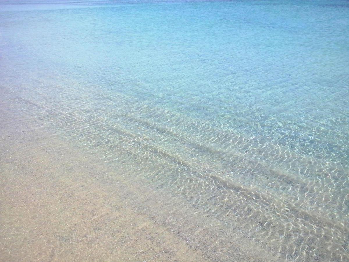 Sea Love Olbia Zewnętrze zdjęcie